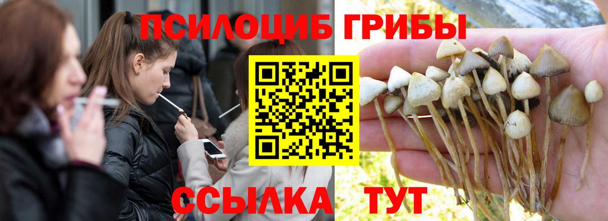 Галлюциногенные грибы мицелий Нягань